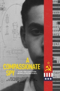Сочувствующий шпион (2022)